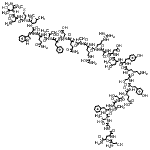 结构式 CAS# 110084-95-2, L-丝氨酰-L-谷氨酰甘氨酰-L-苏氨酰-L-苯丙氨酰-L-苏氨酰-L-丝氨酰-L-alpha-谷氨酰-L-酪氨酰-L-丝氨酰-L-赖氨酰-L-酪氨酰-L-亮氨酰-L-alpha-天冬氨酰-L-丝氨酰-L-精氨酰-L-精氨酰-L-丙氨酰-L-谷氨酰胺酰-L-alpha-天冬氨酰-L-苯丙氨酰-L-缬氨酰-L-谷氨酰胺酰-L-色氨酰-L-亮氨酰-L-蛋氨酰-L-天冬氨酰胺酰-L-苏氨酰胺