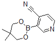 structure of CAS# 868944-72-3, 3-(5,5-Dimethyl-1,3,2-Dioxaborinan-2-Yl)-4-Pyridinecarbonitrile;4-CYANOPYRIDINE-3-BORONOC ACID NEOPENTYL GLYCOL ESTER
