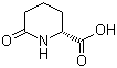 结构式 CAS# 72002-30-3, D-6-氧代哌啶-2-甲酸